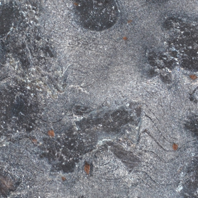 14. MATRIX LEATHER (EXÃ“TICO)